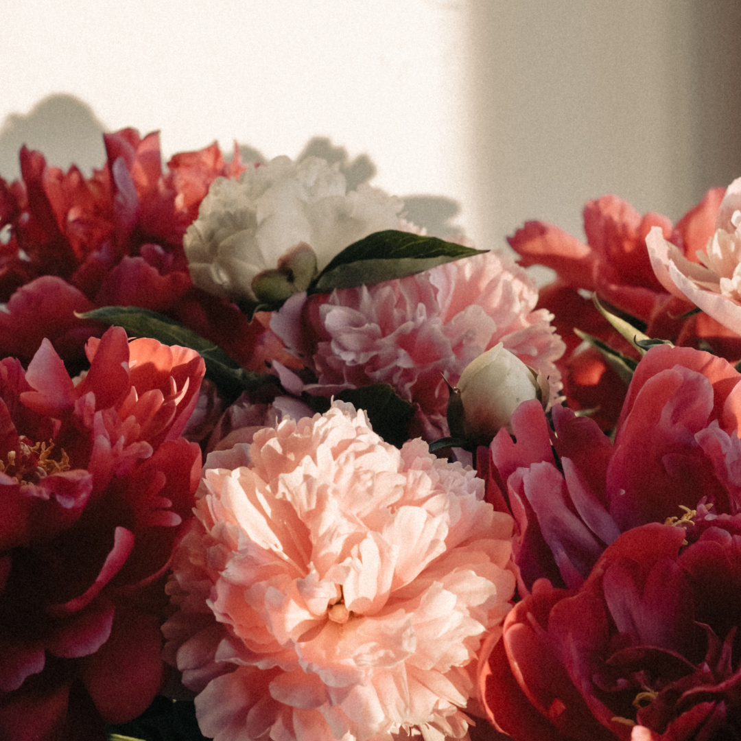 Bouquets de fleurs